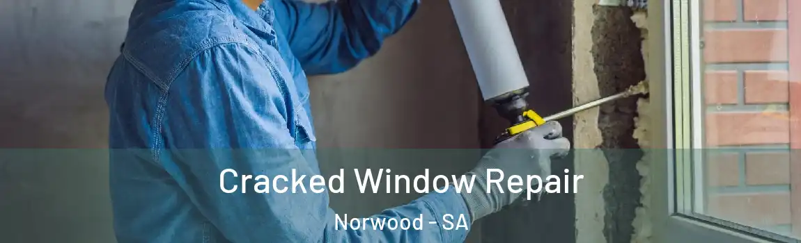Cracked Window Repair Norwood - SA