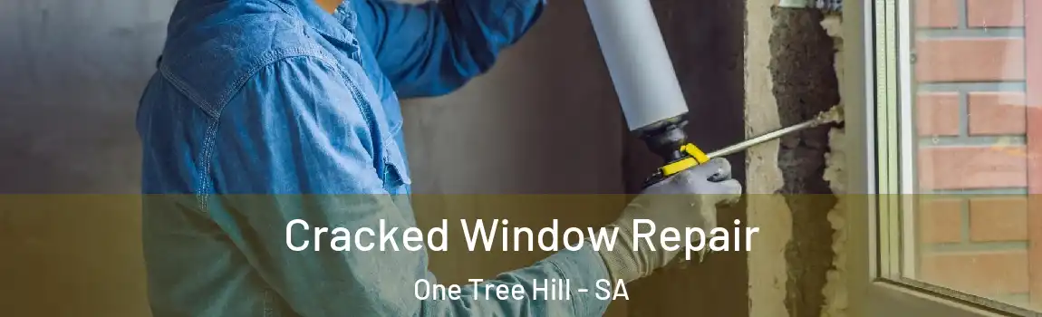  Cracked Window Repair One Tree Hill - SA