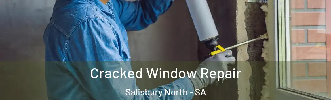  Cracked Window Repair Salisbury North - SA