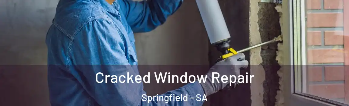 Cracked Window Repair Springfield - SA