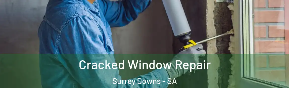  Cracked Window Repair Surrey Downs - SA