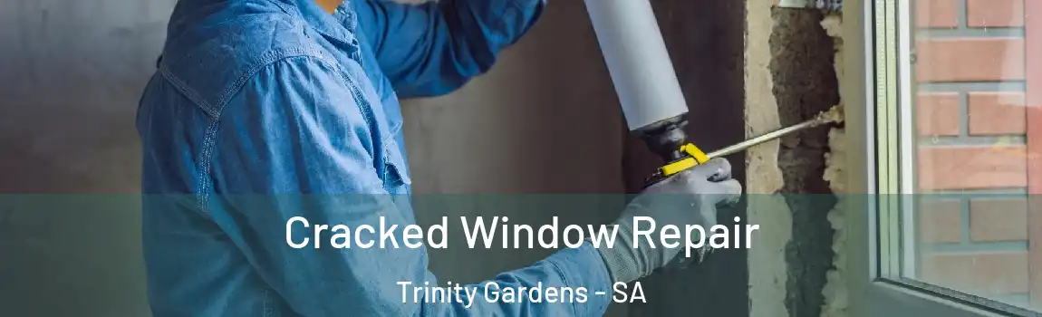 Cracked Window Repair Trinity Gardens - SA