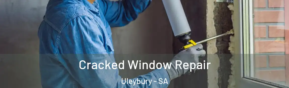  Cracked Window Repair Uleybury - SA