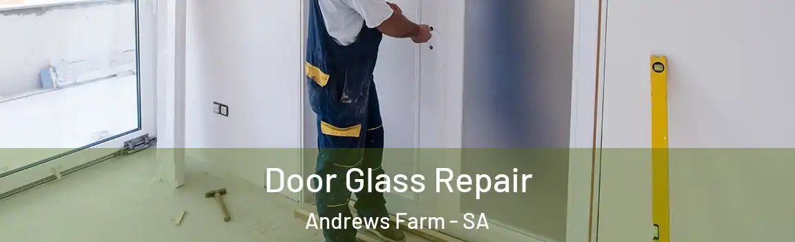 Door Glass Repair Andrews Farm - SA