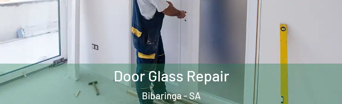 Door Glass Repair Bibaringa - SA