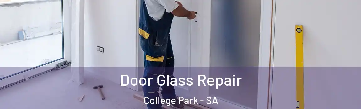 Door Glass Repair College Park - SA