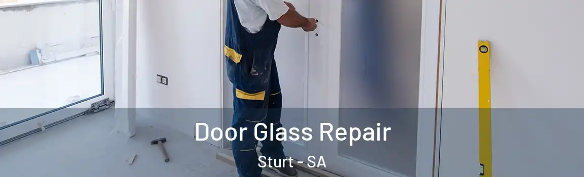 Door Glass Repair Sturt - SA