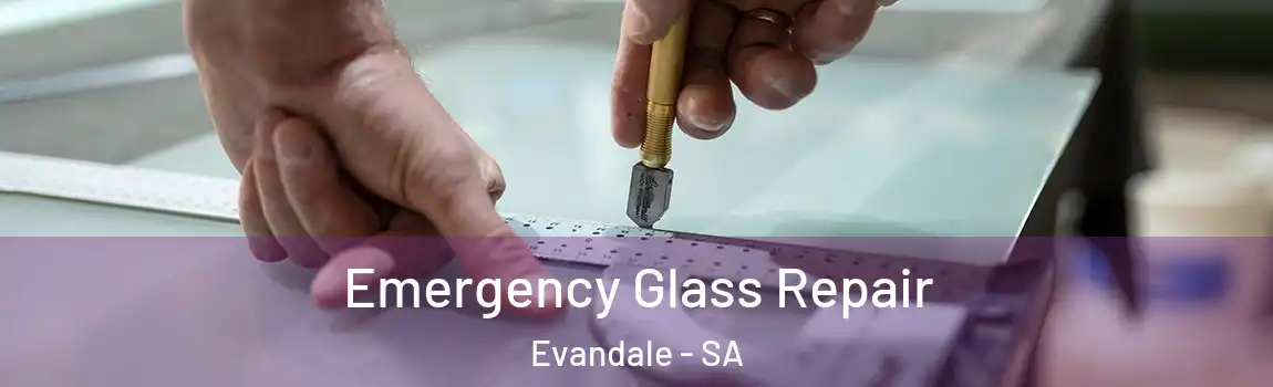  Emergency Glass Repair Evandale - SA