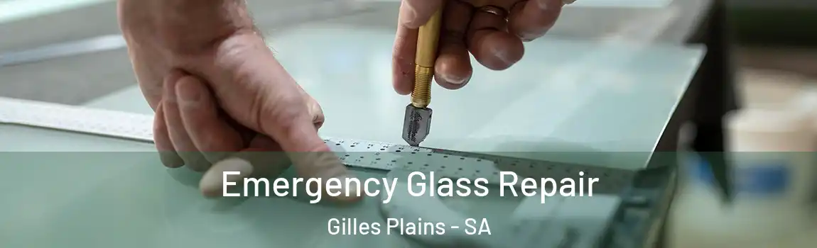 Emergency Glass Repair Gilles Plains - SA