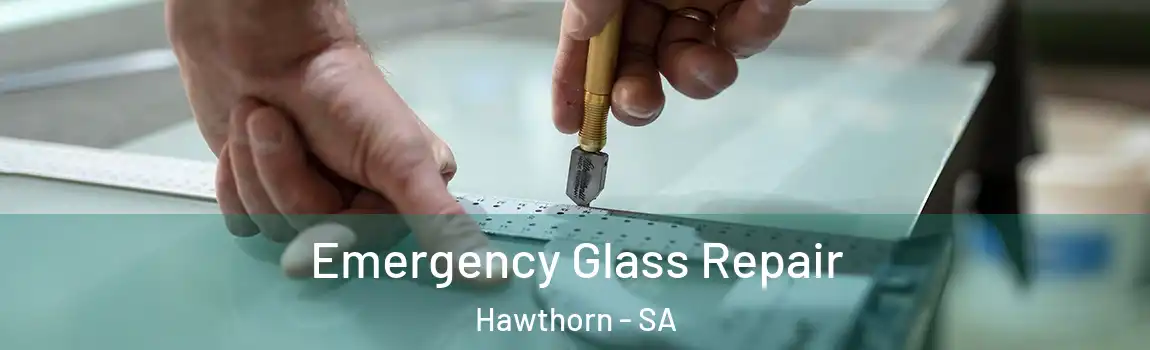 Emergency Glass Repair Hawthorn - SA
