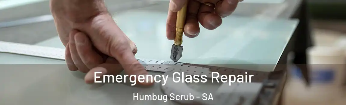 Emergency Glass Repair Humbug Scrub - SA