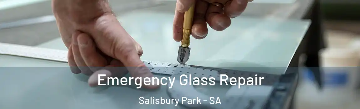 Emergency Glass Repair Salisbury Park - SA