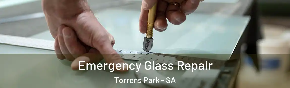 Emergency Glass Repair Torrens Park - SA