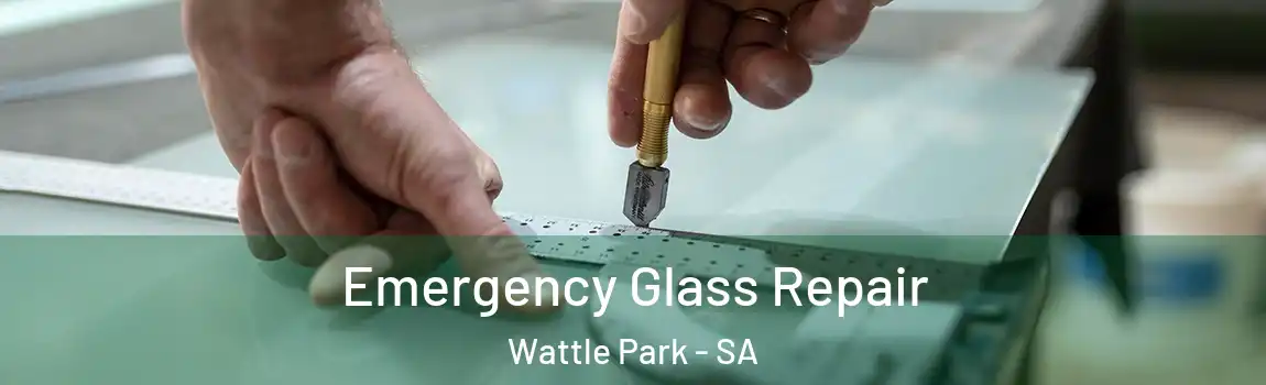 Emergency Glass Repair Wattle Park - SA