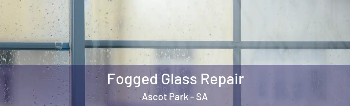  Fogged Glass Repair Ascot Park - SA
