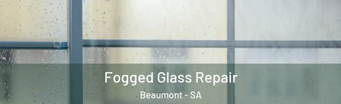  Fogged Glass Repair Beaumont - SA