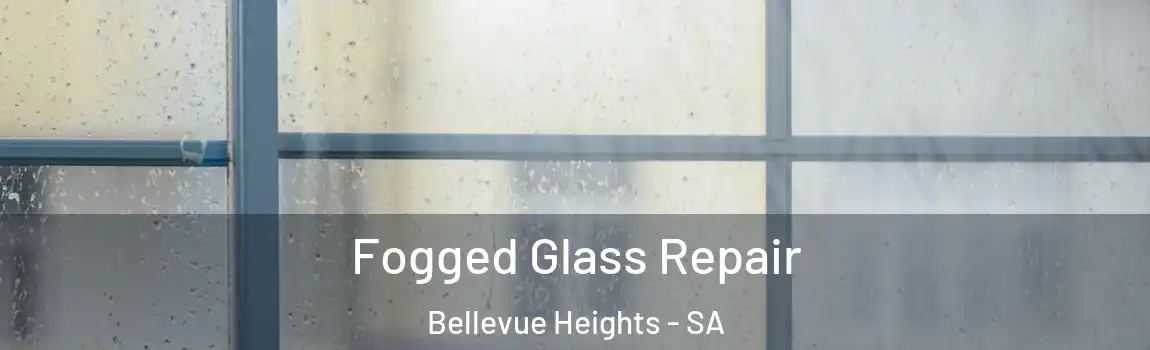  Fogged Glass Repair Bellevue Heights - SA