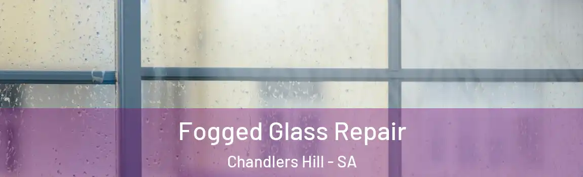  Fogged Glass Repair Chandlers Hill - SA