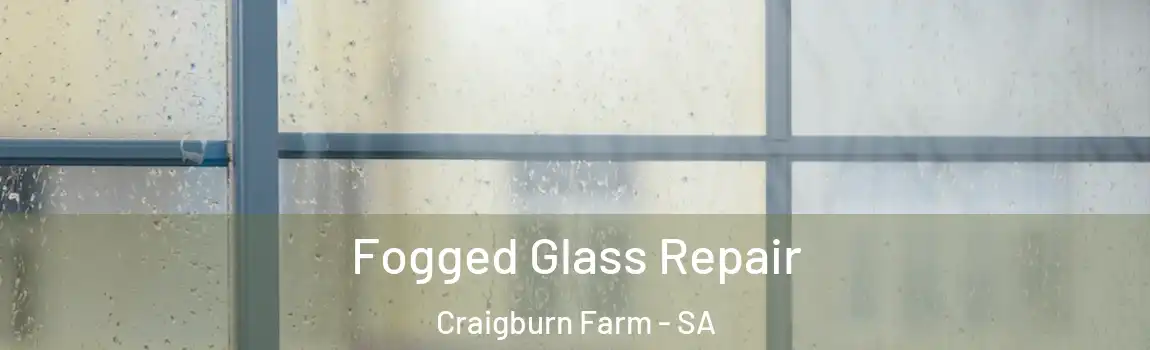  Fogged Glass Repair Craigburn Farm - SA