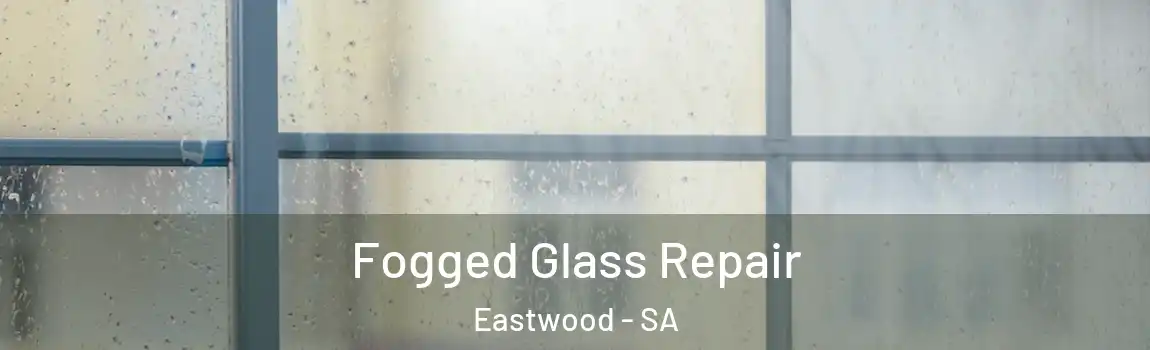  Fogged Glass Repair Eastwood - SA