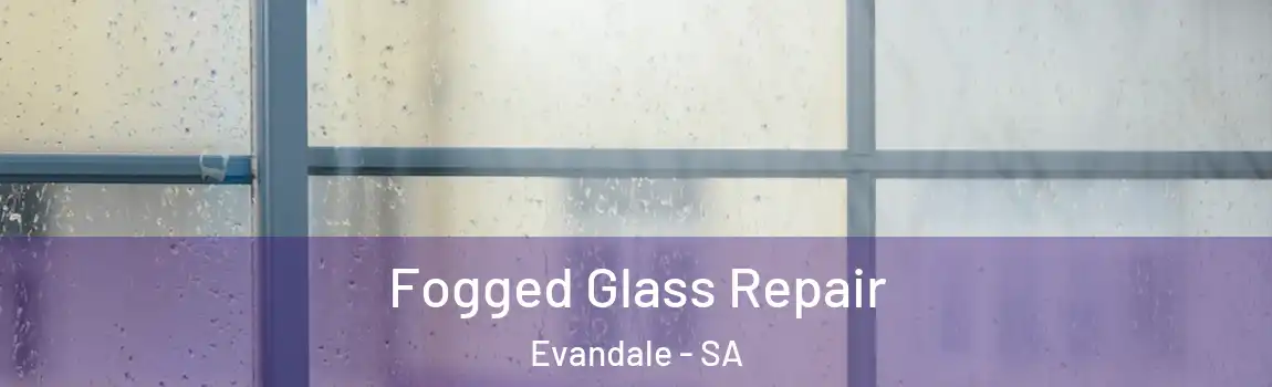  Fogged Glass Repair Evandale - SA