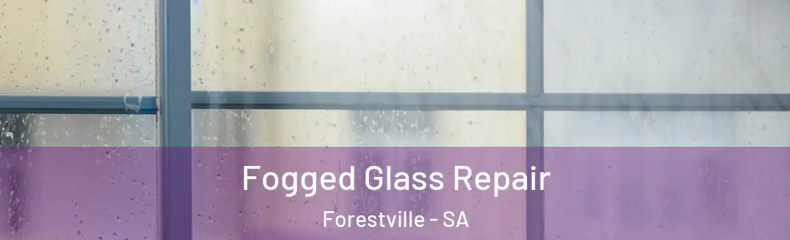  Fogged Glass Repair Forestville - SA