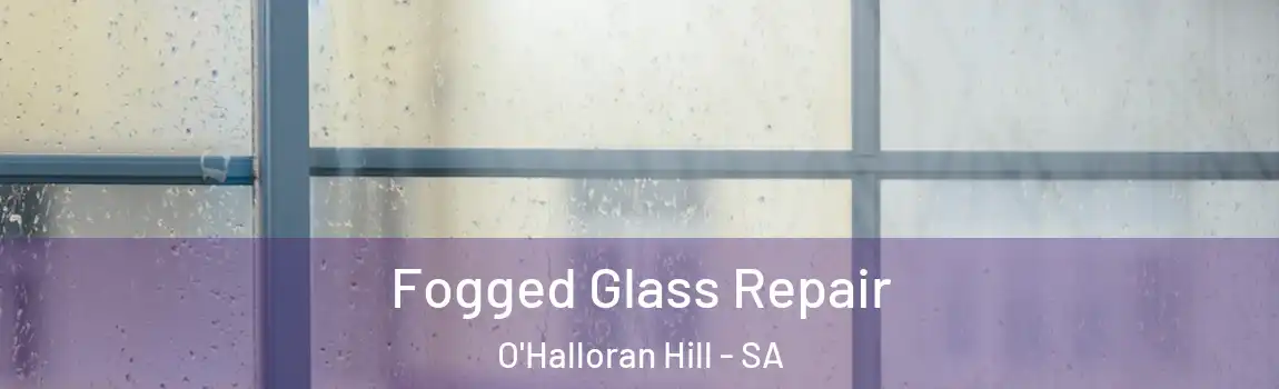  Fogged Glass Repair O'Halloran Hill - SA