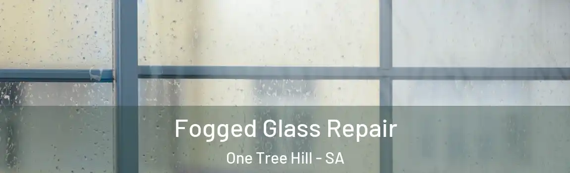  Fogged Glass Repair One Tree Hill - SA