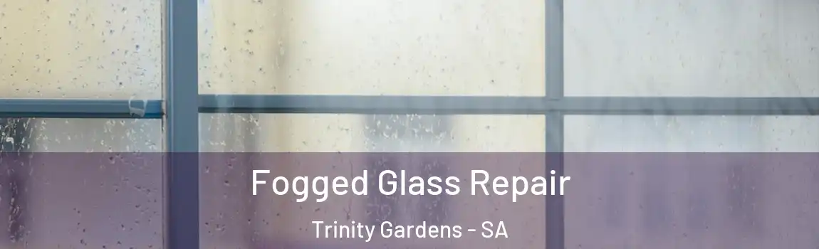 Fogged Glass Repair Trinity Gardens - SA