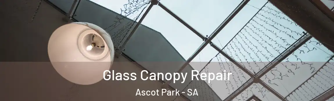 Glass Canopy Repair Ascot Park - SA