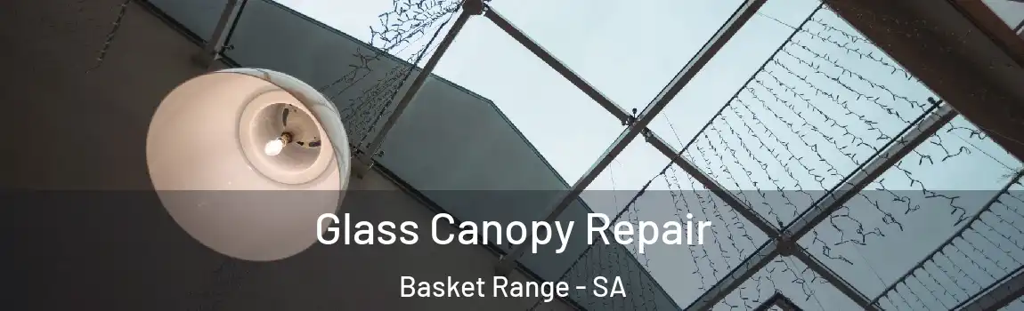  Glass Canopy Repair Basket Range - SA
