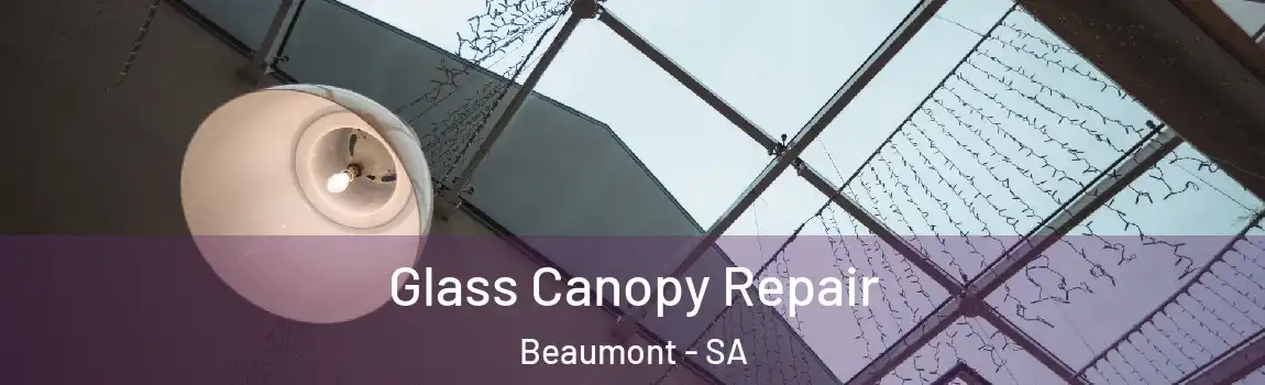 Glass Canopy Repair Beaumont - SA