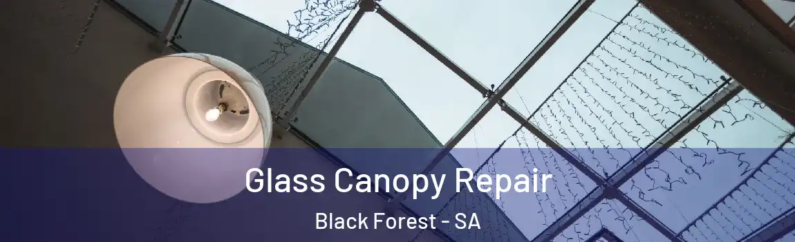  Glass Canopy Repair Black Forest - SA