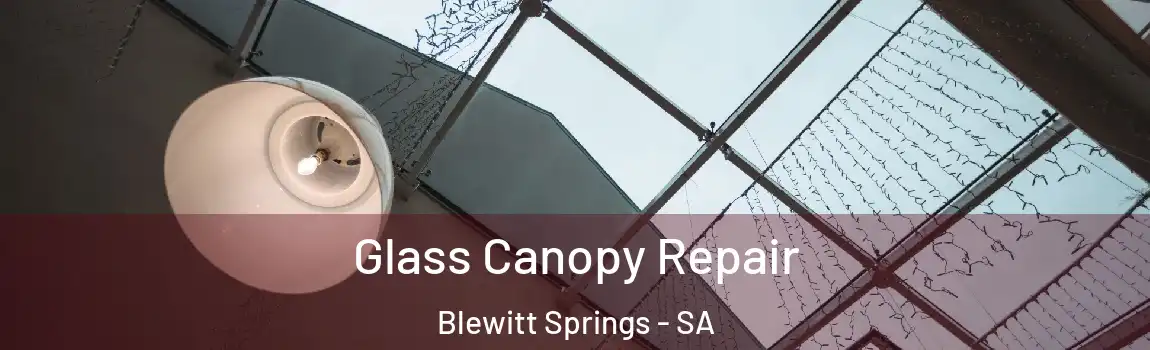 Glass Canopy Repair Blewitt Springs - SA
