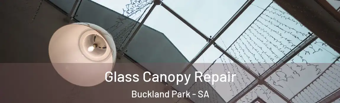 Glass Canopy Repair Buckland Park - SA