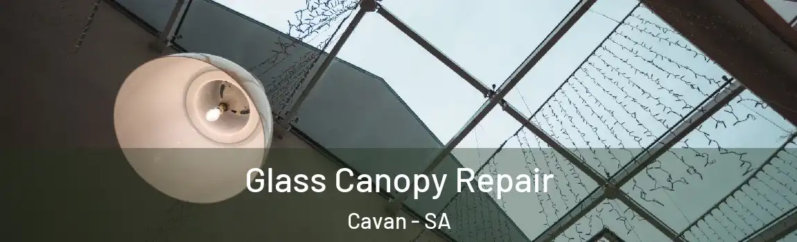  Glass Canopy Repair Cavan - SA