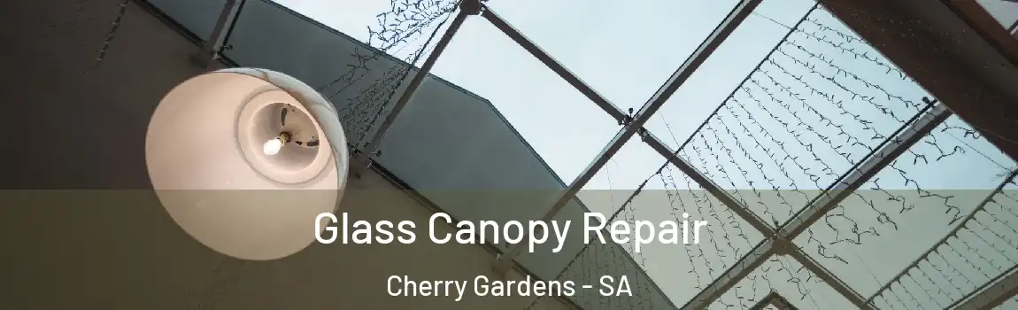 Glass Canopy Repair Cherry Gardens - SA