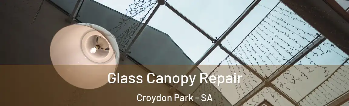 Glass Canopy Repair Croydon Park - SA