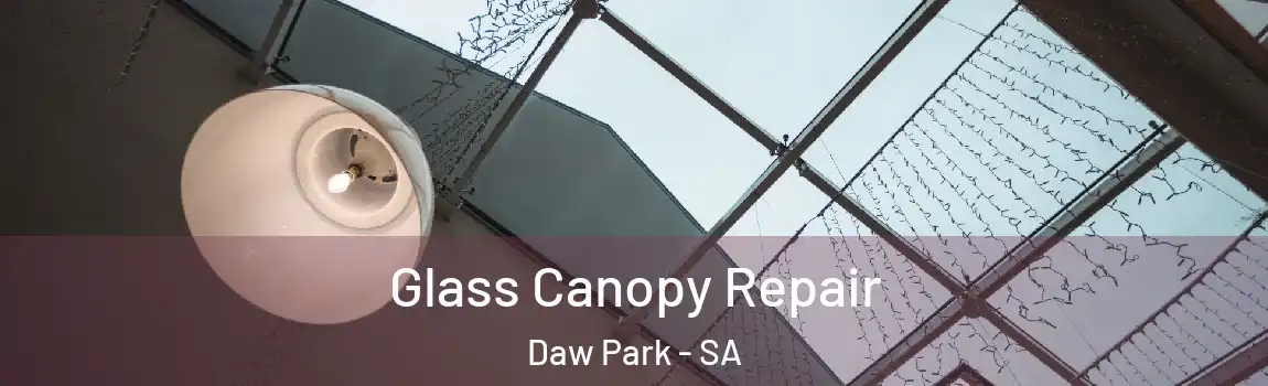  Glass Canopy Repair Daw Park - SA