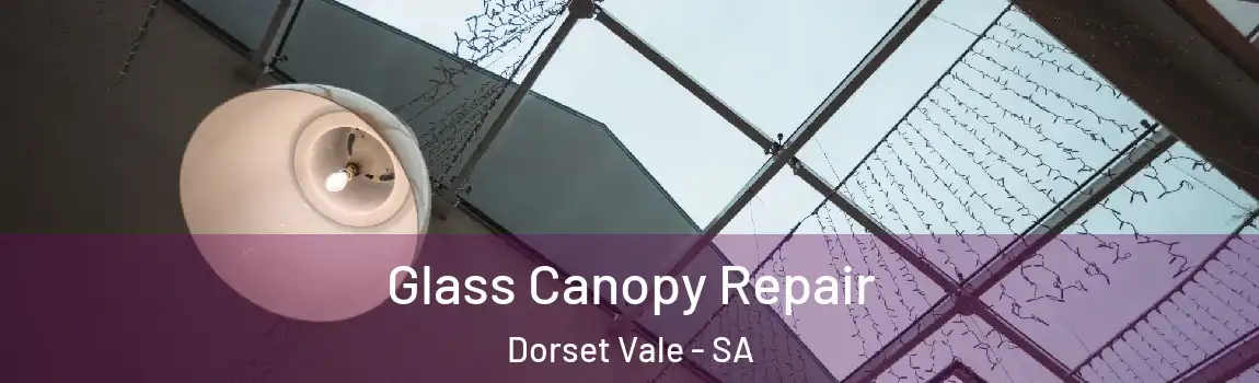  Glass Canopy Repair Dorset Vale - SA