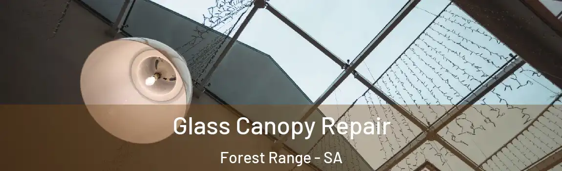 Glass Canopy Repair Forest Range - SA