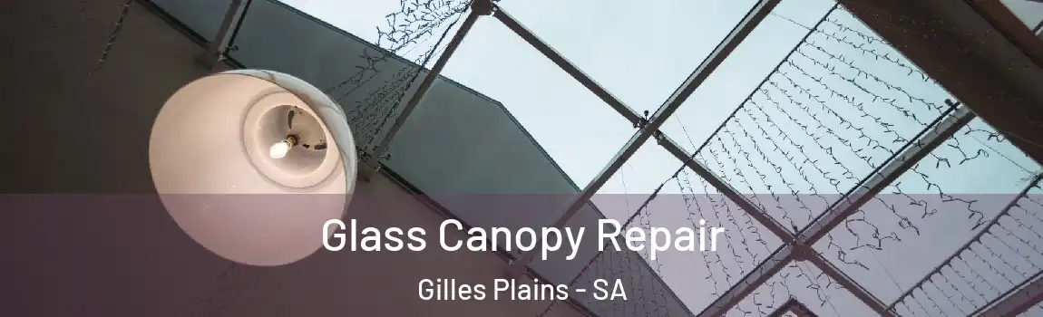 Glass Canopy Repair Gilles Plains - SA