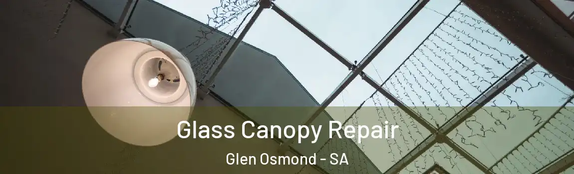 Glass Canopy Repair Glen Osmond - SA