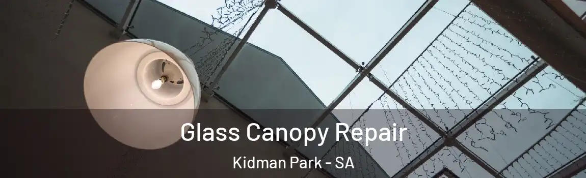  Glass Canopy Repair Kidman Park - SA