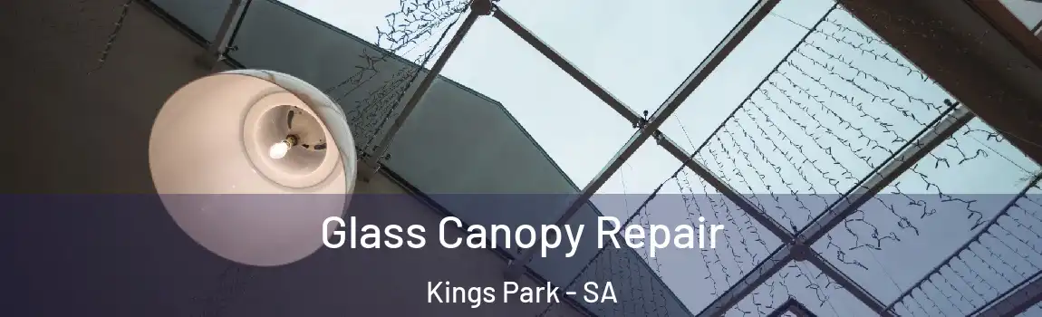 Glass Canopy Repair Kings Park - SA