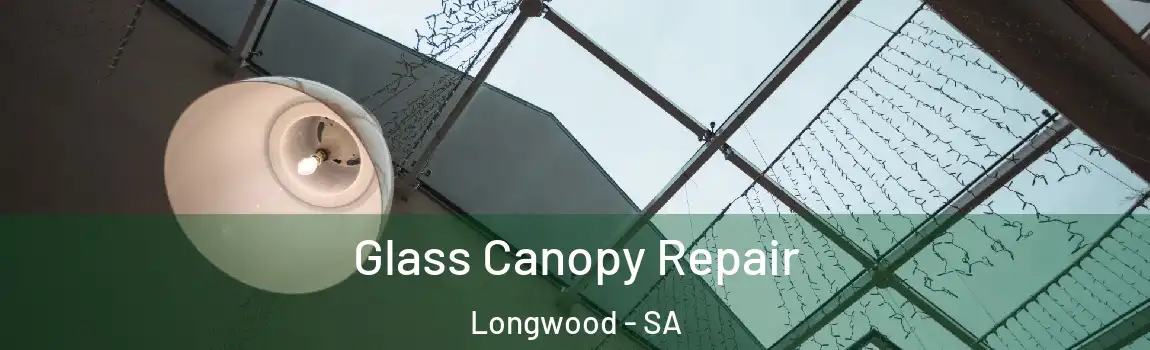 Glass Canopy Repair Longwood - SA