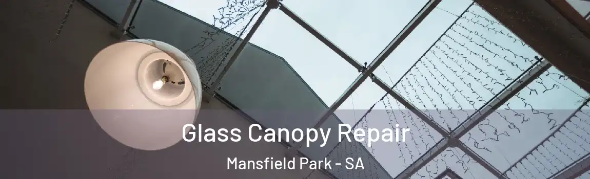 Glass Canopy Repair Mansfield Park - SA