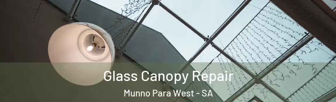 Glass Canopy Repair Munno Para West - SA