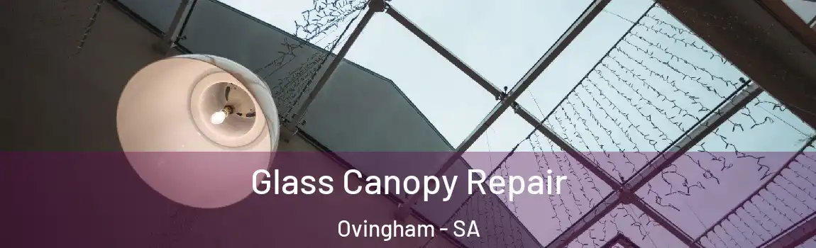 Glass Canopy Repair Ovingham - SA