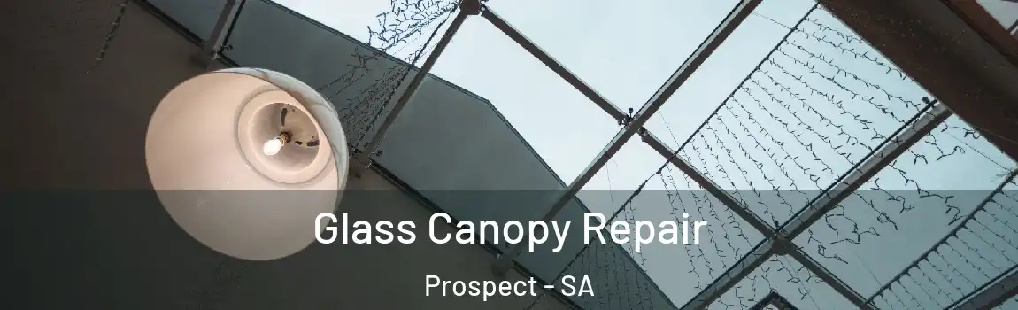 Glass Canopy Repair Prospect - SA